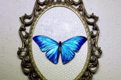 by Ruben Salazar