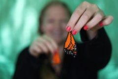 SonneStudios_Earrings_ButterflyProcess