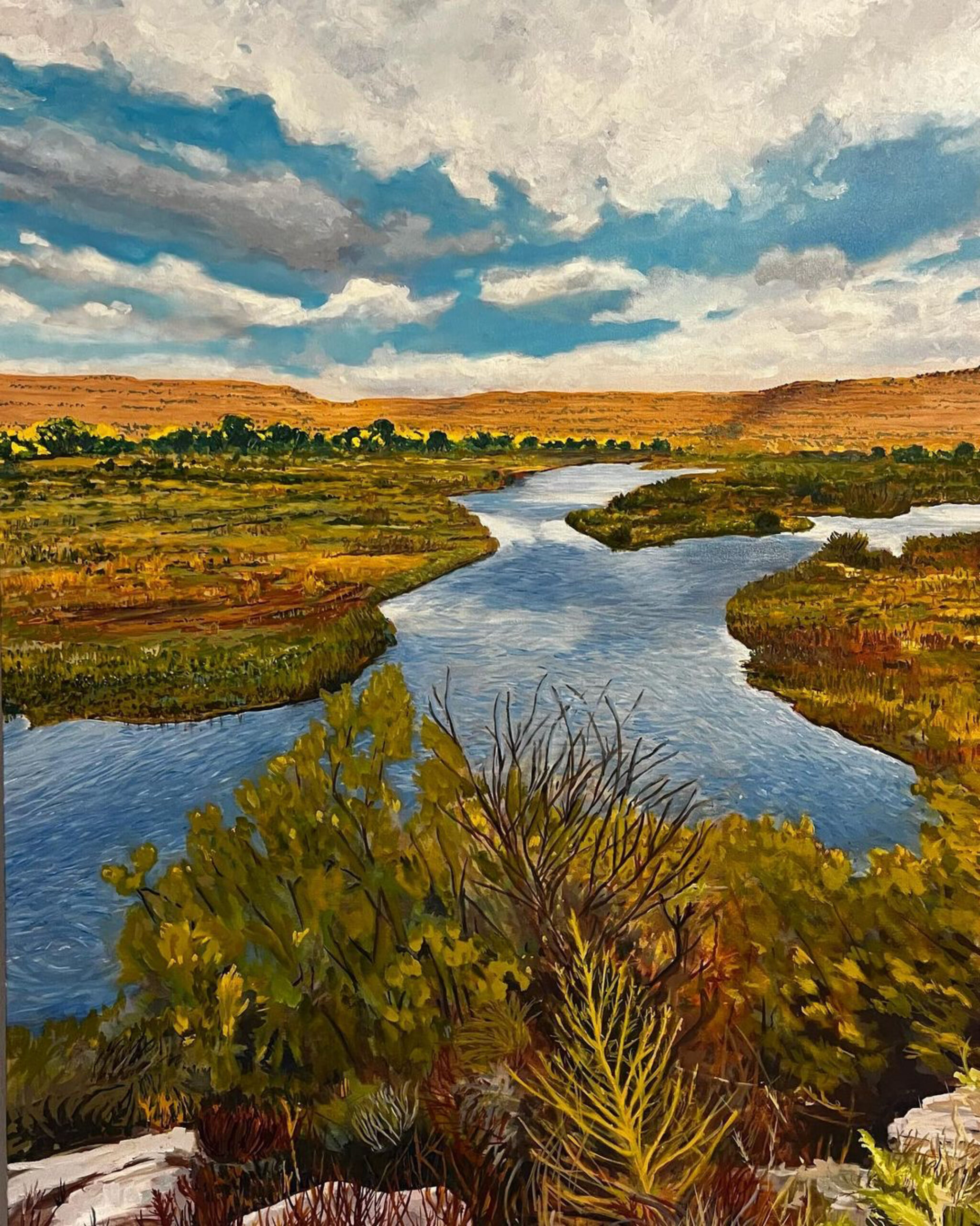 San Juan River, Nothern New Mexico, 30x40 oil on canvas. By Rick Castro